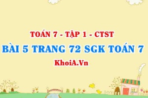 Bài 5 trang 72 SGK Toán 7 Chân trời sáng tạo tập 1